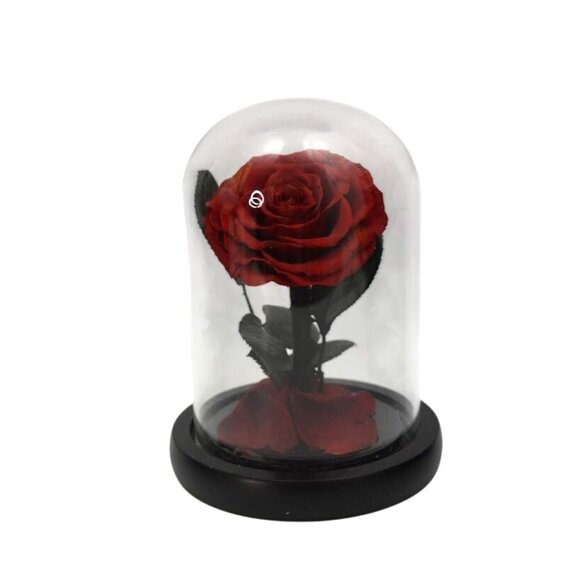 Preserved Red Rose In Glass Dome With Black Base and Gift Box - Picture 1 of 5